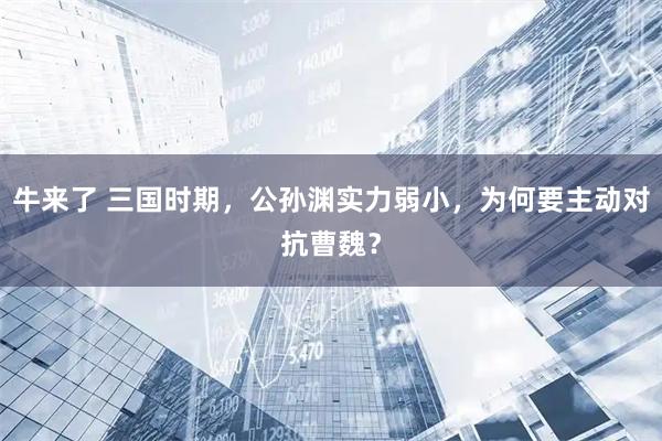 牛来了 三国时期，公孙渊实力弱小，为何要主动对抗曹魏？