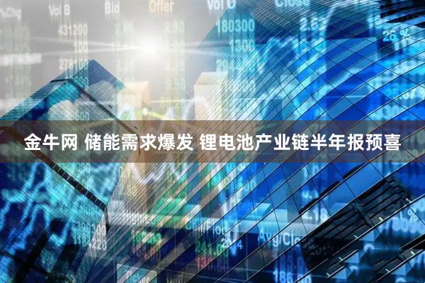金牛网 储能需求爆发 锂电池产业链半年报预喜