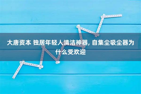 大唐资本 独居年轻人清洁神器, 自集尘吸尘器为什么受欢迎