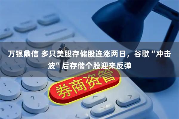 万银鼎信 多只美股存储股连涨两日，谷歌“冲击波”后存储个股迎来反弹
