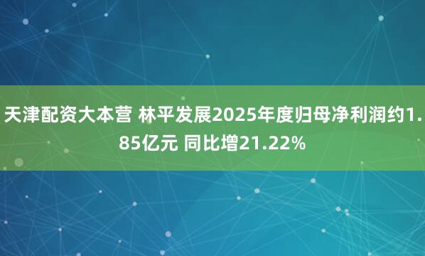 天津配资大本营 林平发展2025年度归母净利润约1.85亿元 同比增21.22%