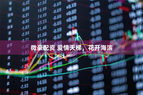 微豪配资 爱情天梯，花开海滨