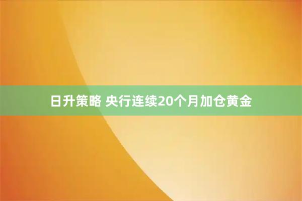 日升策略 央行连续20个月加仓黄金