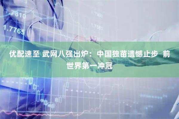 优配速至 武网八强出炉：中国独苗遗憾止步  前世界第一冲冠